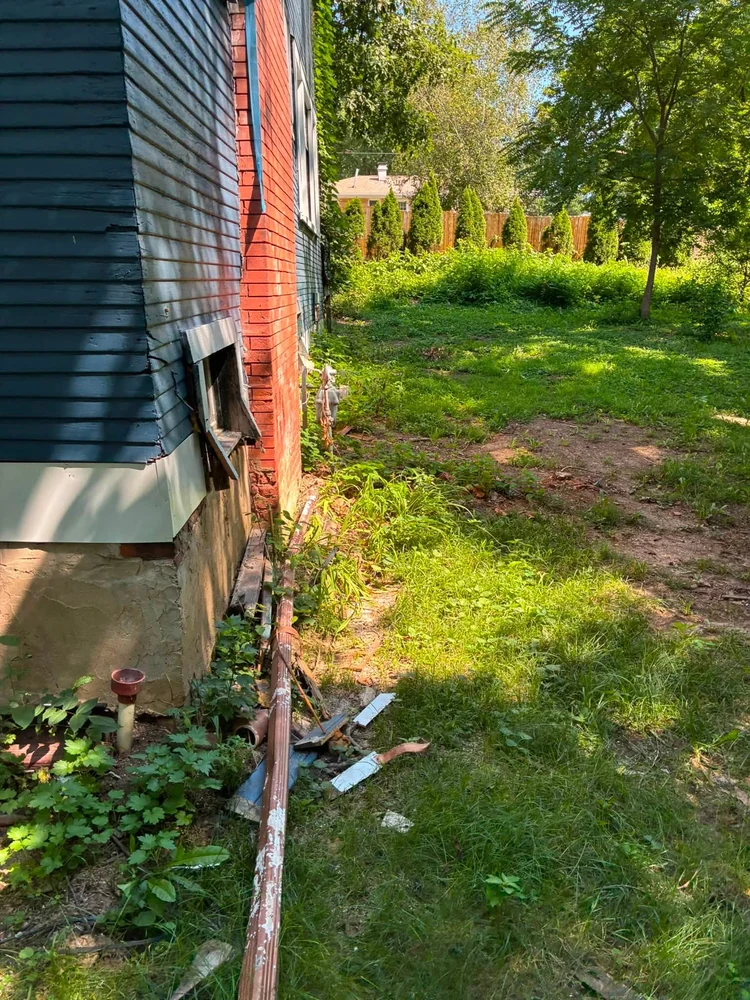 Before: dense overgrowth beside the chimney of the Toulon house.