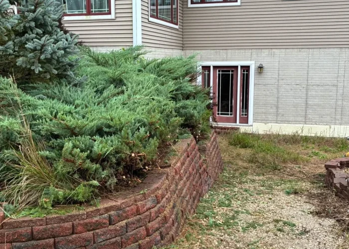 A restored red block wall and trimmed hedge at a residential property.