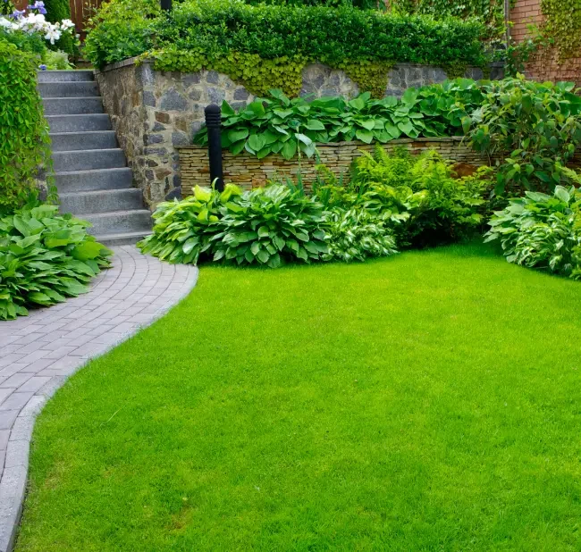 Service inspiration: a planted garden with a curved path.